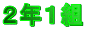 QNPg